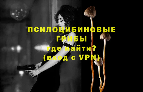 кокс Алексин